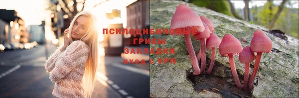 мдпв Магадан