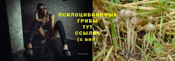 мдма Лихославль